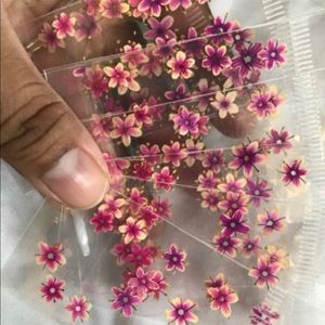 240 dried flower for nails